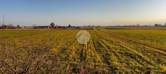 Studio in Villafranca Piemonte, Italy, Nr. 265972 3