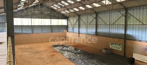 4 bedrooms House in Brugheas, France No. 356261 11