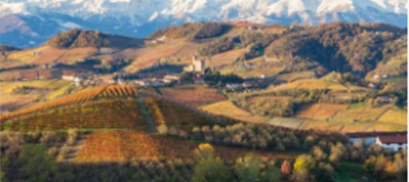 4-Zimmer Wohnung in Valenza, Italy, Nr. 259338 24