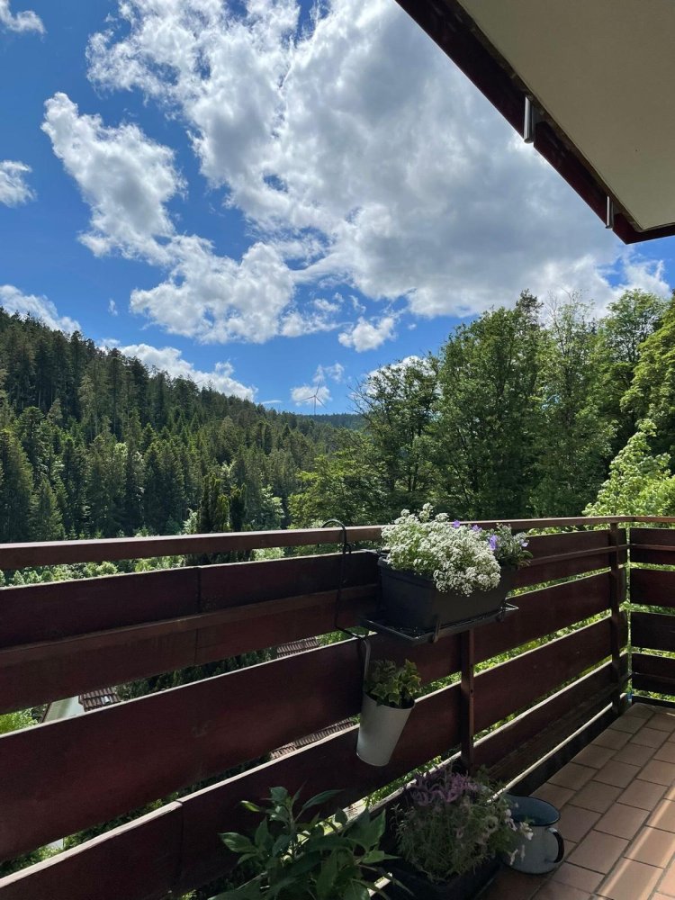 2 chambres Appartement à Rottweil, Germany No. 251494