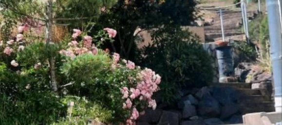 4 غرف نوم فيلا في Saarlouis, Germany رقم 267619 5