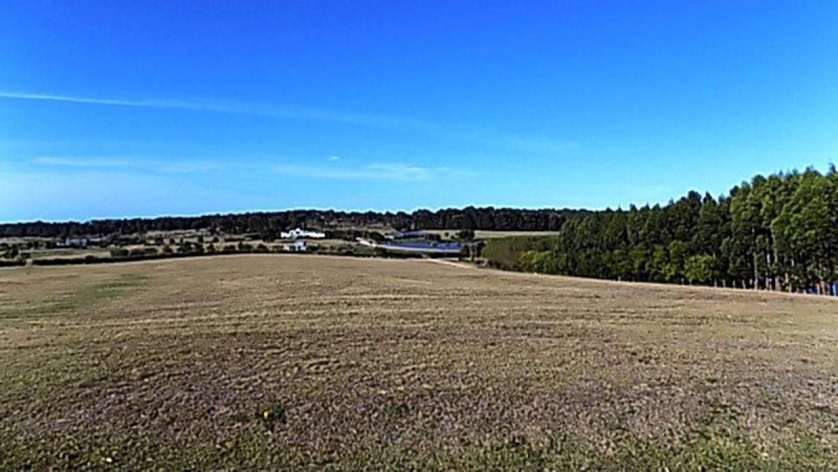 Земельный участок в Мальдонадо, Уругвай № 15787