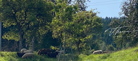 Grundstück in Altmünster, Austria 1000m², Nr. 226772 6