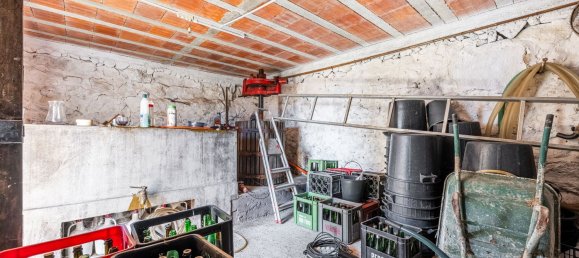 5 Schlafzimmer Haus in Arnoia, Portugal, Nr. 228864 40