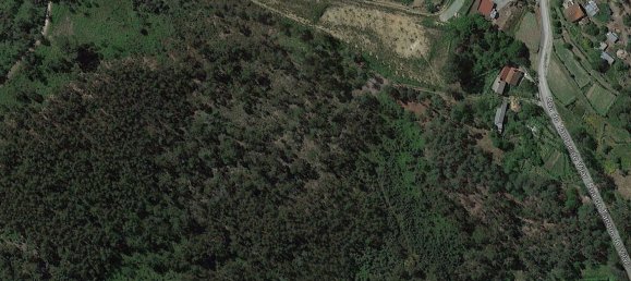 5 Schlafzimmer Haus in Arnoia, Portugal, Nr. 228864 47