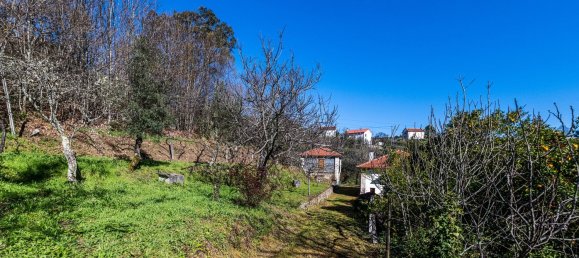 5 Schlafzimmer Haus in Arnoia, Portugal, Nr. 228864 15