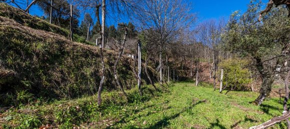 5 Schlafzimmer Haus in Arnoia, Portugal, Nr. 228864 13