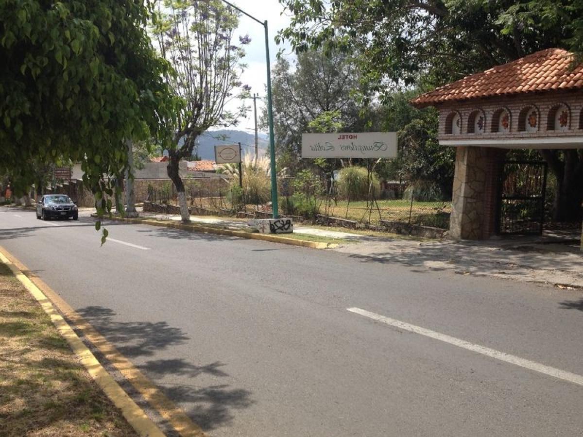  Land in Mexico No. 205286