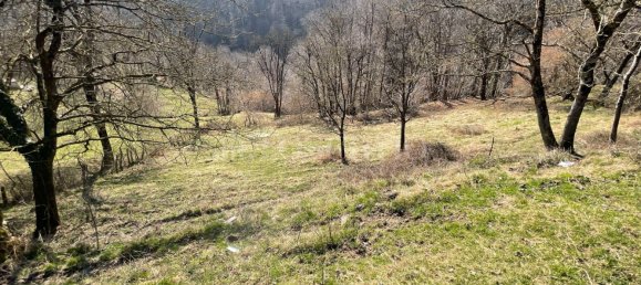 3 rooms House in Dizzasco, Italy No. 207510 14