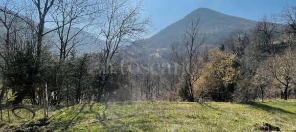 3 rooms House in Dizzasco, Italy No. 207510 21