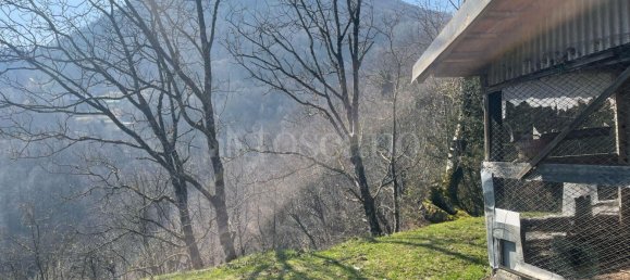 3 rooms House in Dizzasco, Italy No. 207510 12