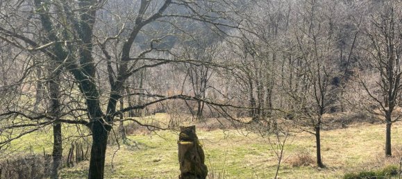 3 rooms House in Dizzasco, Italy No. 207510 18