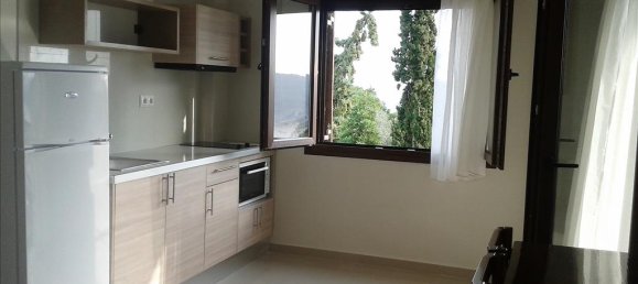 Таунхаус 500м² в Халкидики, Центральная Македония, Македония и Фракия, Греция № 5493 11