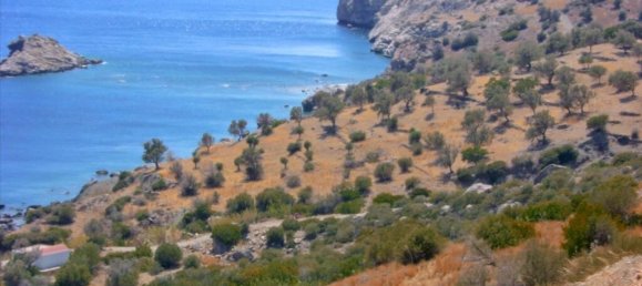 Отель, гостиница с 3 комнатами в Ретимни, Крит, Греция № 3266 3