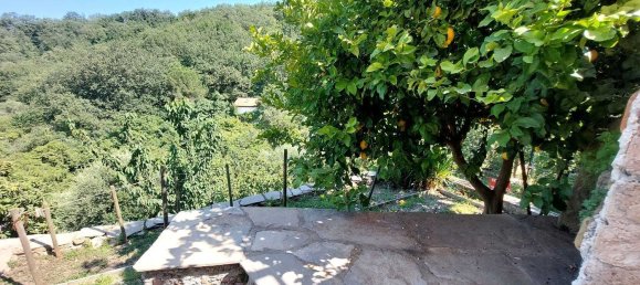 5 rooms Apartment in Imperia, Italy No. 137760 42