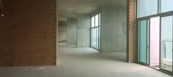 318m² Penthouse in District 7, Vietnam No. 18698 4