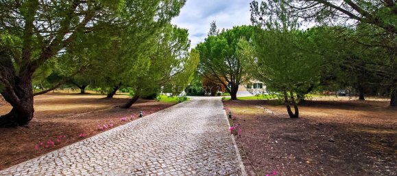 4 bedrooms House in Benavente, Portugal No. 24183 24