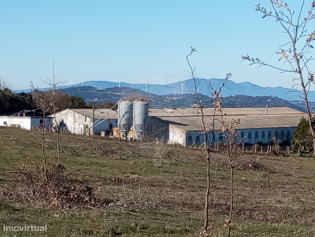 9 Schlafzimmer Haus in Arcos, Portugal, Nr. 205595