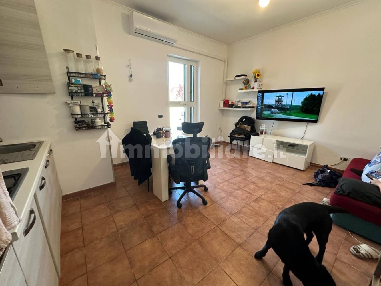 2 bedrooms Apartment in Nettuno, Italy No. 338307