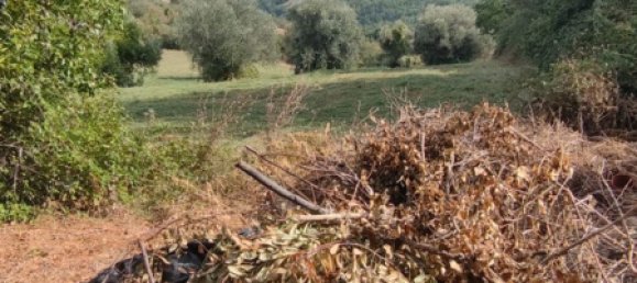 Дом с 2 комнатами в Бриттоли, Италия № 185174 8