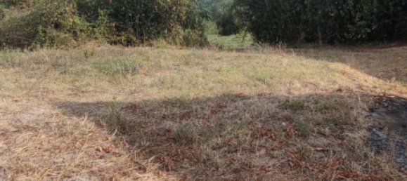 Дом с 2 комнатами в Бриттоли, Италия № 185174 12