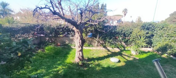 6 rooms Villa in Cerveteri, Italy No. 130562 9