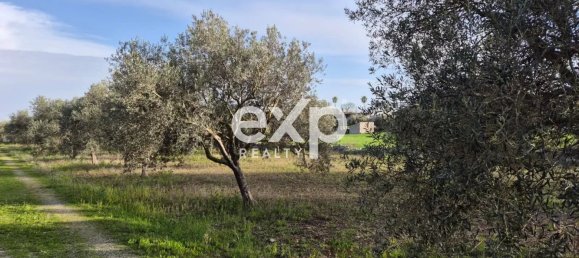 2 bedrooms House in Modica, Italy No. 219127 15