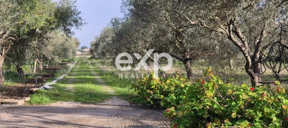 2 bedrooms House in Modica, Italy No. 219127 13