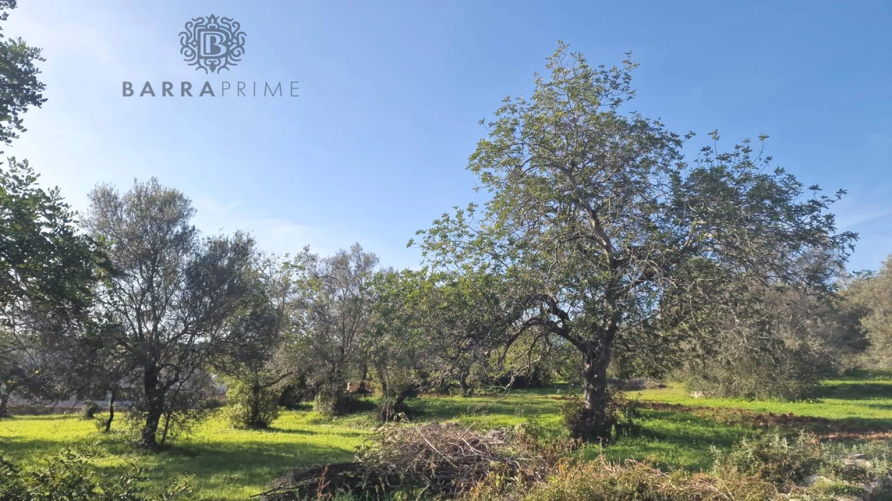  قطعة أرض في Sao Bras de Alportel, Portugal رقم 35254