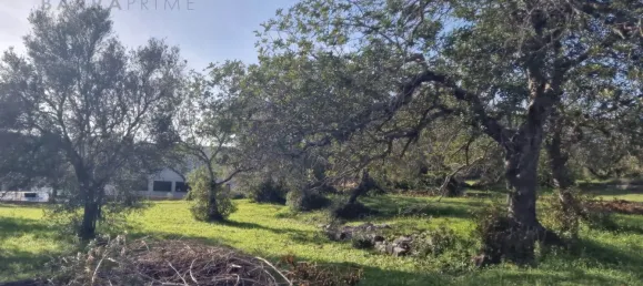  قطعة أرض في Sao Bras de Alportel, Portugal رقم 35254 2