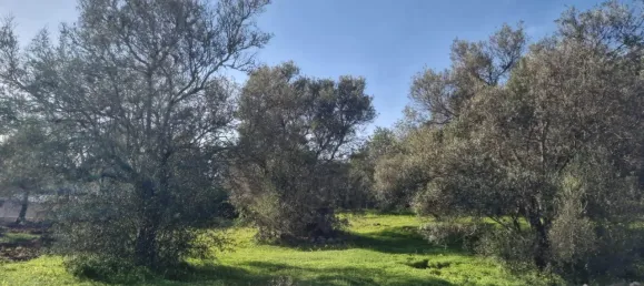  قطعة أرض في Sao Bras de Alportel, Portugal رقم 35254 5