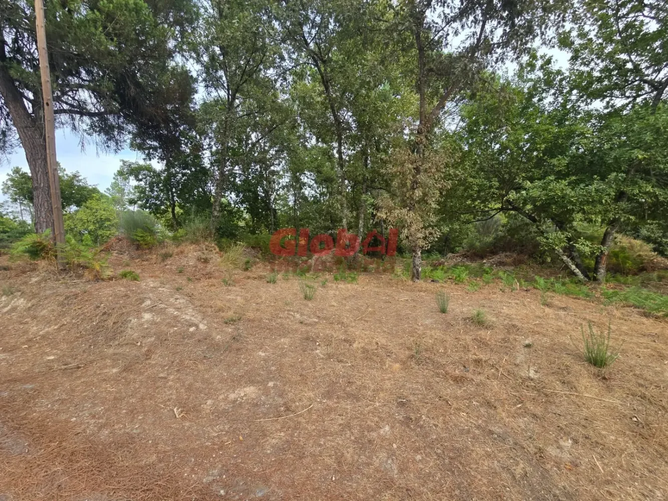  Land in Viseu, Portugal No. 305689