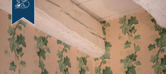 900m² Commercial property in Roncade, Italy No. 57741 33