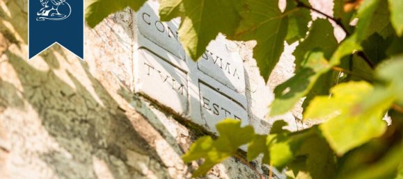 900m² Commercial property in Roncade, Italy No. 57741 14