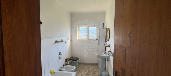 3 bedrooms House in Brito, Portugal No. 41725 5