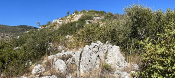 قطعة أرض في Zakynthos, Greece رقم 650 4