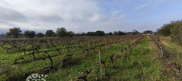 Grundstück in Villelongue-dels-Monts, France 9255m², Nr. 342136 2