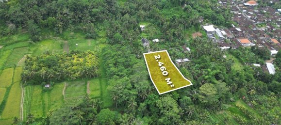 Terra em Gianyar, Indonesia 2460 m² N.º 4640 3