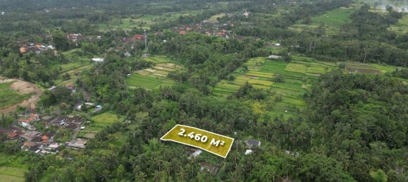 Terra em Gianyar, Indonesia 2460 m² N.º 4640 7