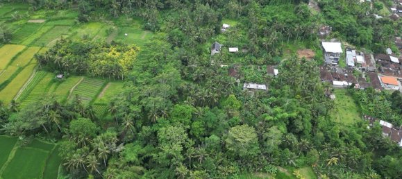 Terra em Gianyar, Indonesia 2460 m² N.º 4640 5