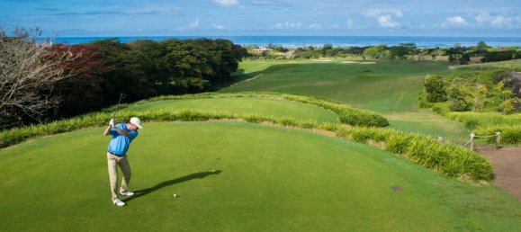 3 bedrooms Villa in Bel Ombre, Mauritius No. 219 4