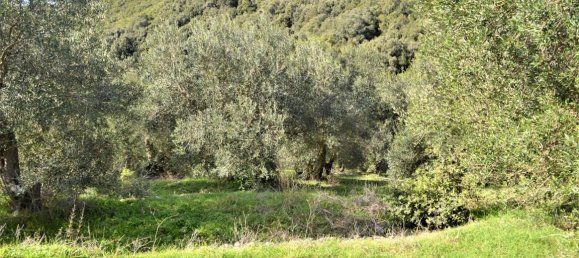 Hôtel à Corfu, Greece 6000m² No. 4267 10