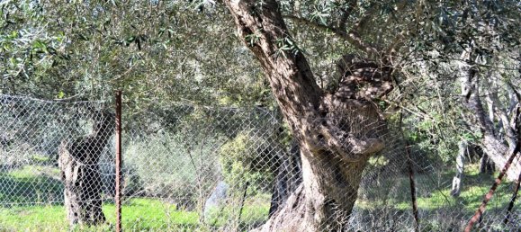 Hôtel à Corfu, Greece 6000m² No. 4267 15