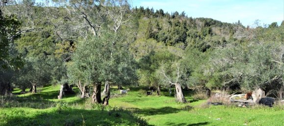 Hôtel à Corfu, Greece 6000m² No. 4267 11