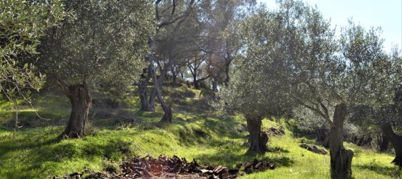 Hôtel à Corfu, Greece 6000m² No. 4267 12