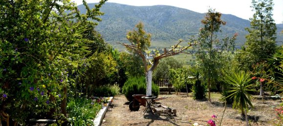 5 غرف نوم عقار تجاري في Keratea, Greece رقم 6780 14