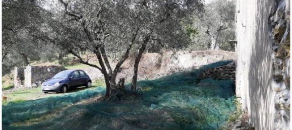 2 Schlafzimmer Haus in Vicopisano, Italy, Nr. 253331 4