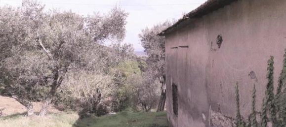 2 Schlafzimmer Haus in Vicopisano, Italy, Nr. 253331 2