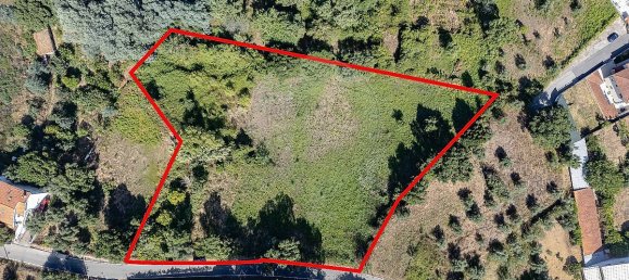 4360m² Land in Torres do Mondego, Portugal No. 17323 4