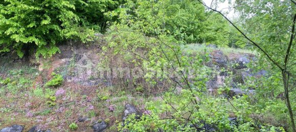 Квартира с 2 спальнями в Монтальдо ди Мондови, Италия № 374113 50